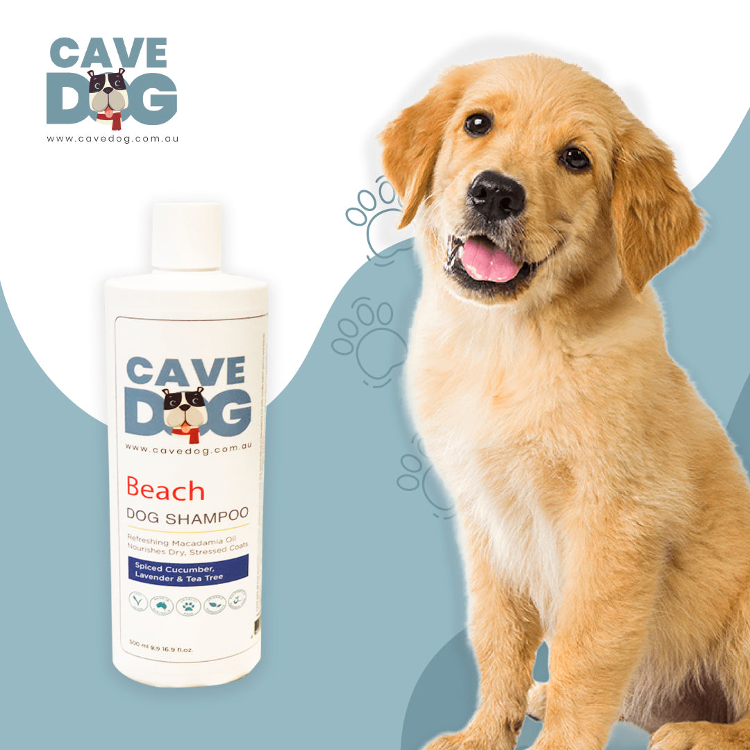 Cave Dog Shampoo