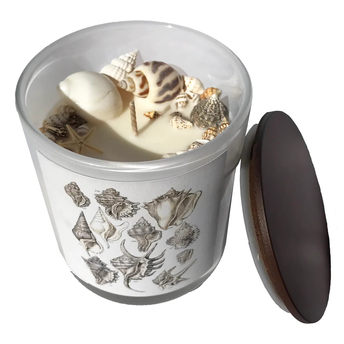 Hunter Gatherer / Pure soy wax shell candle / VINTAGE SHELLS DESIGN / Boxed