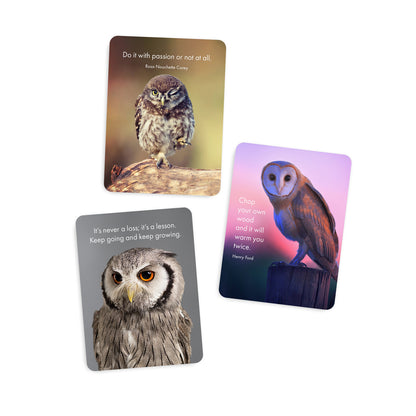 DWW - Words of Wisdom - 24 Animal affirmation cards + stand