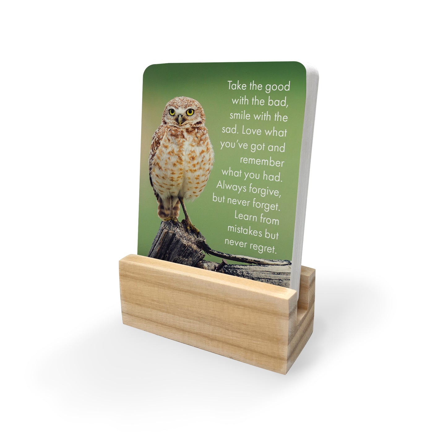 DWW - Words of Wisdom - 24 Animal affirmation cards + stand