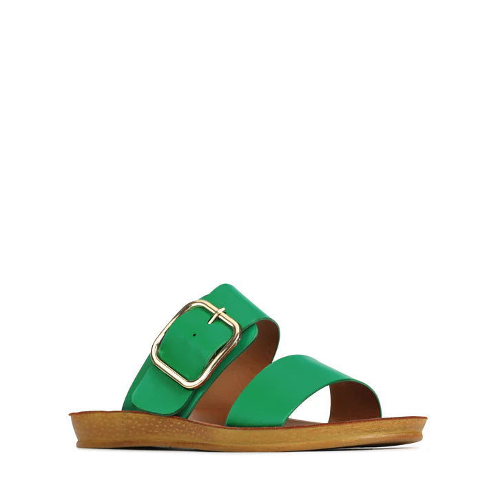 Doti slides - Emerald