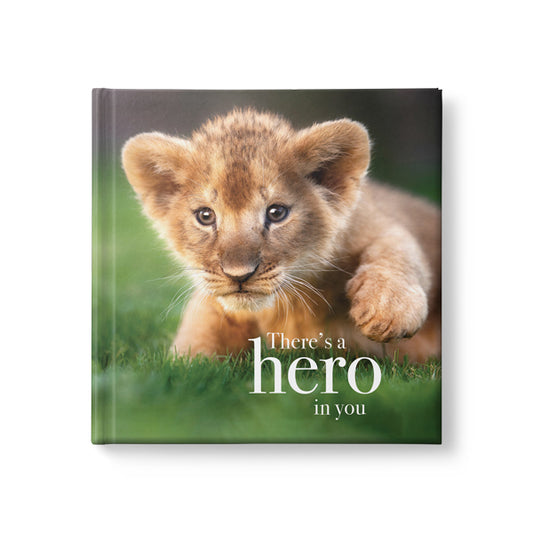 inspirational book - there's a hero in you