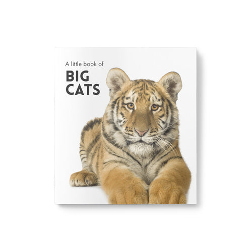 Inspirational Quote Book - A Little Book of Big Cats