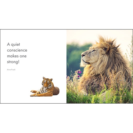 Inspirational Quote Book - A Little Book of Big Cats