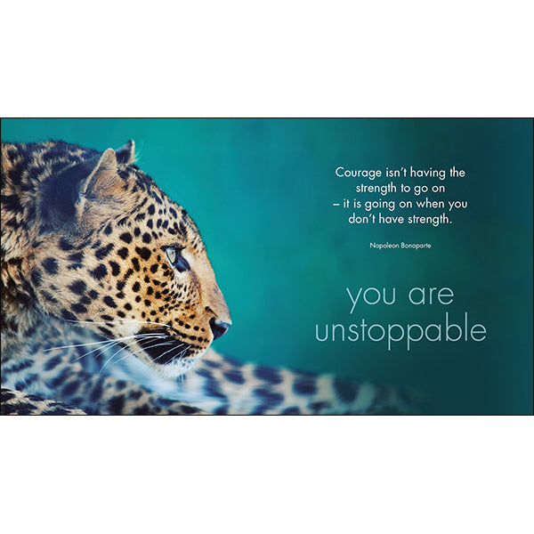 Inspirational Quote Book - A Little Book of Big Cats