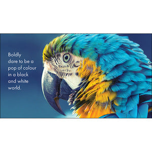 Inspirational Quote Book - A Little Book of Jungle Joy