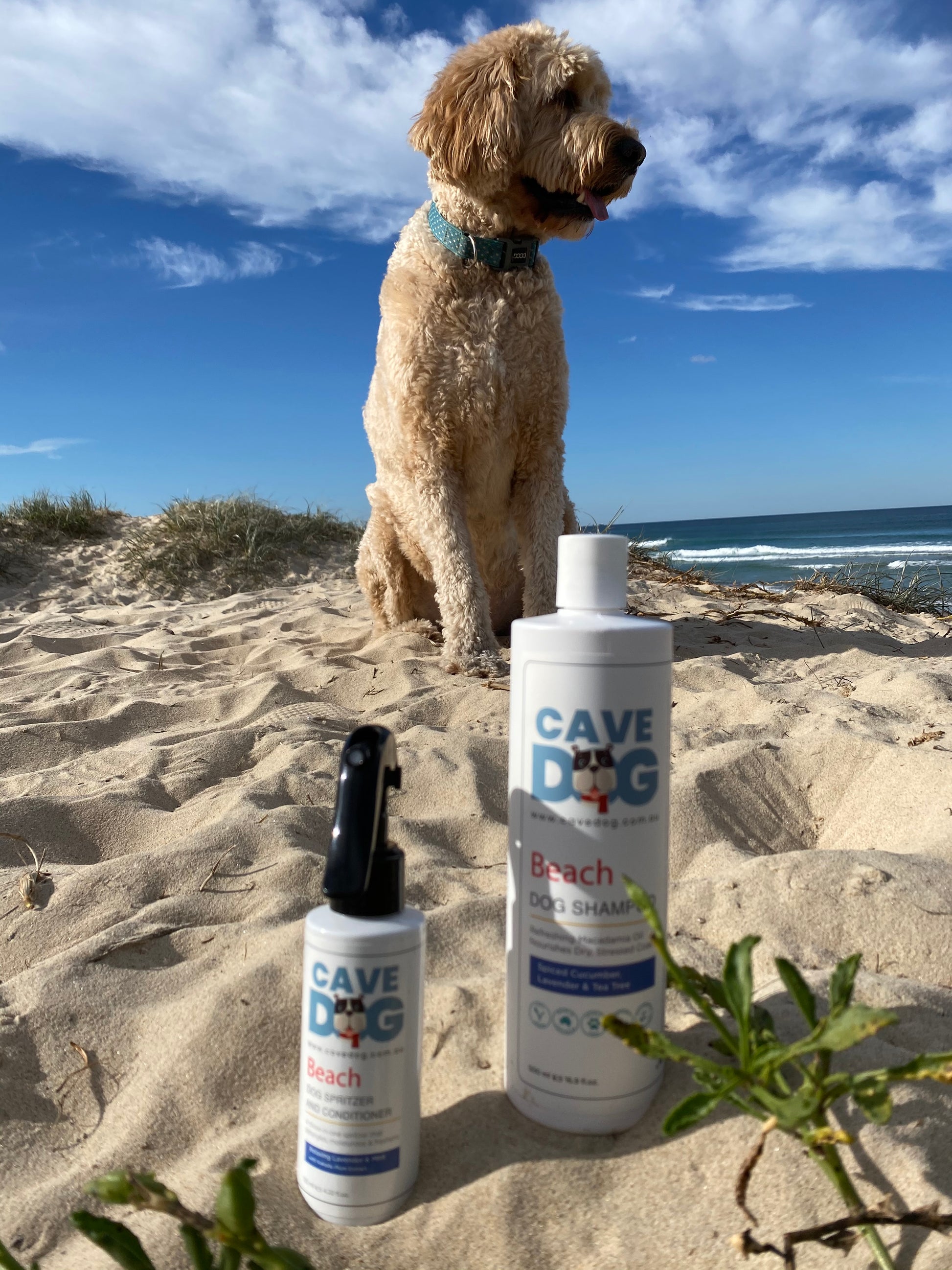 Cave Dog Spritz Conditioner