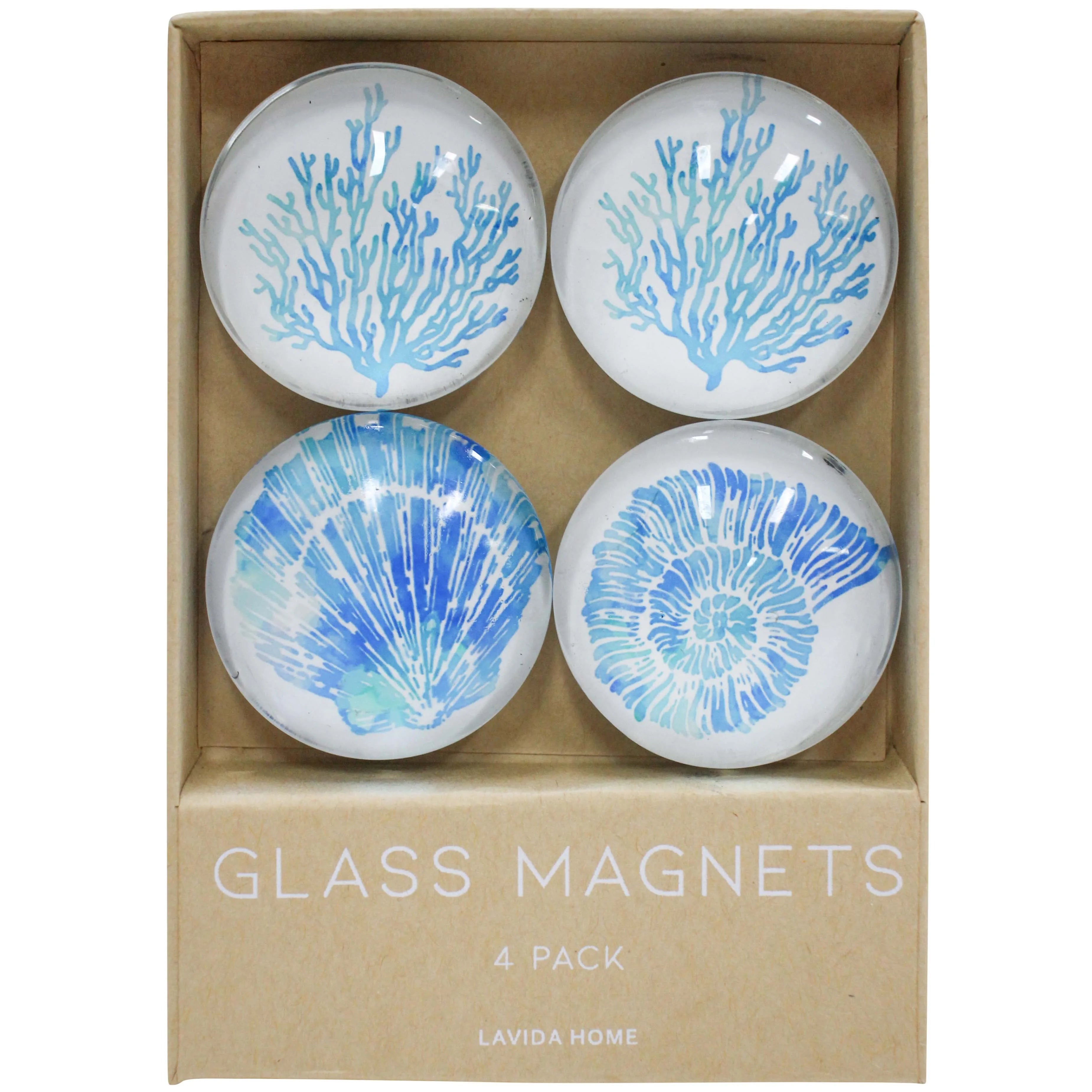 Coral shell magnets