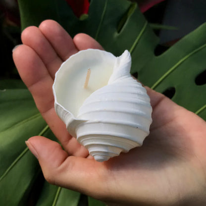 Hunter Gatherer Seashell Soy Wax Candle  on hand