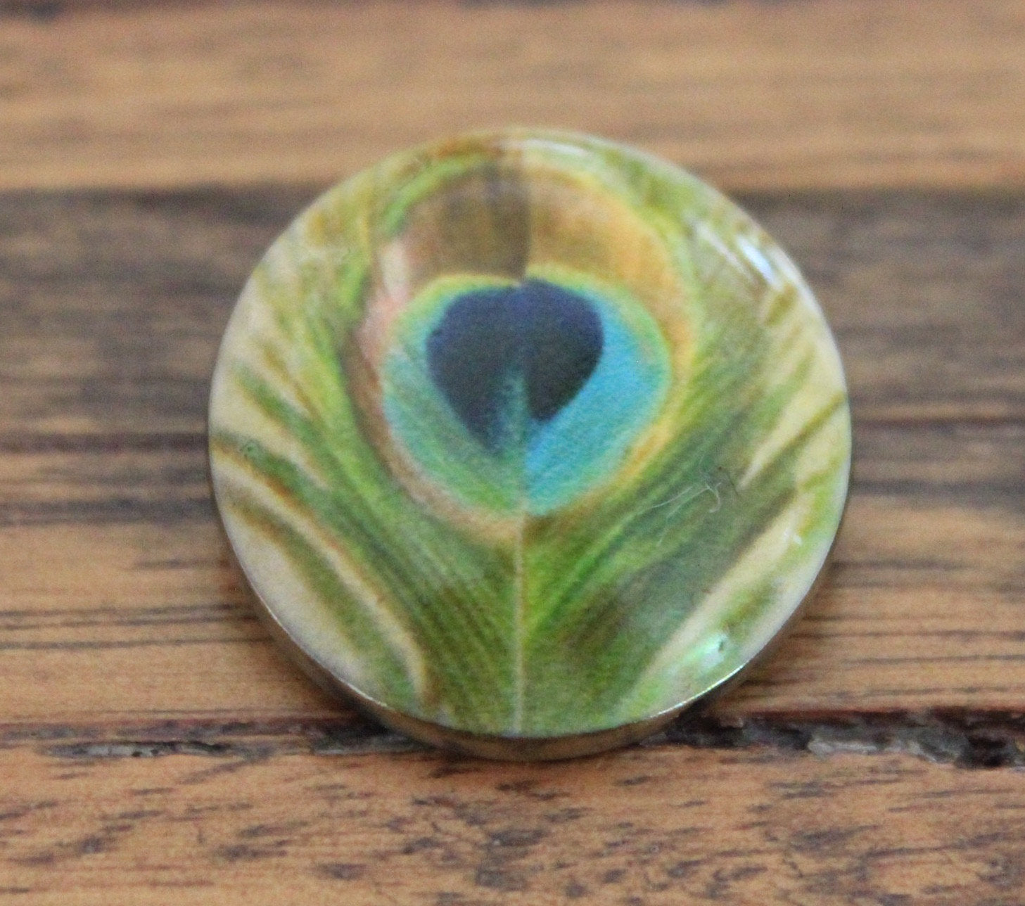 peacock feather pattern in a light green painted stone button