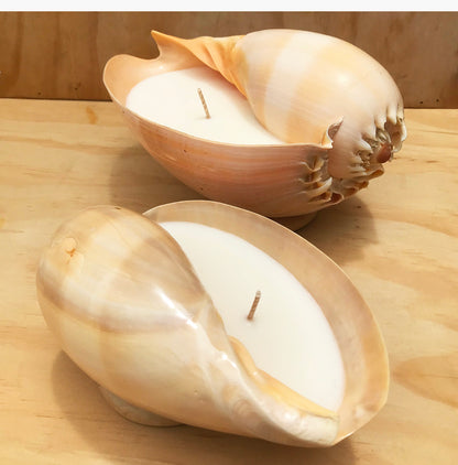 two Hunter Gatherer Melo Shell Candle - Large